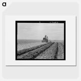 Untitled photo - Dorothea Lange Poster.