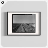 Squatter camp on county road near Calipatria - Dorothea Lange Poster.