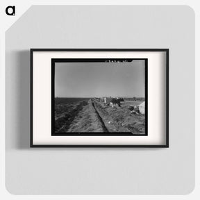 アートポスター-Squatter camp on county road near Calipatria - ドロテア ラング Poster.