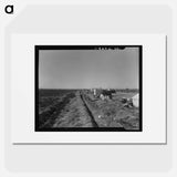 Squatter camp on county road near Calipatria - Dorothea Lange Poster.