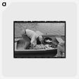 アートポストカード-Unloading Oysters, Olga, Louisiana
 - ラッセル リー Postcard.