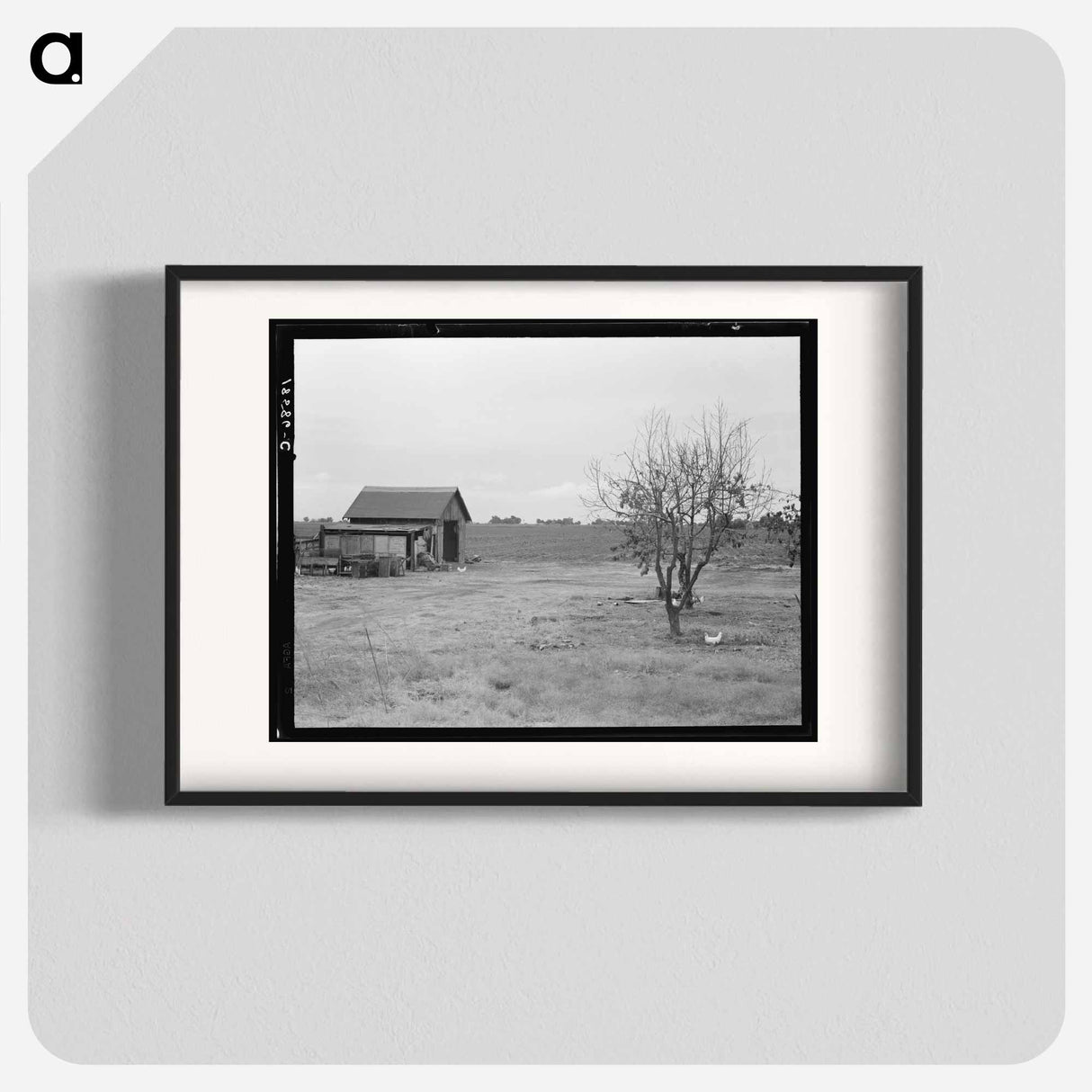 Untitled photo - Dorothea Lange Poster.