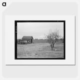 Untitled photo - Dorothea Lange Poster.