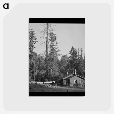 アートポストカード-Oakridge, Oregon
 - ラッセル リー Postcard.
