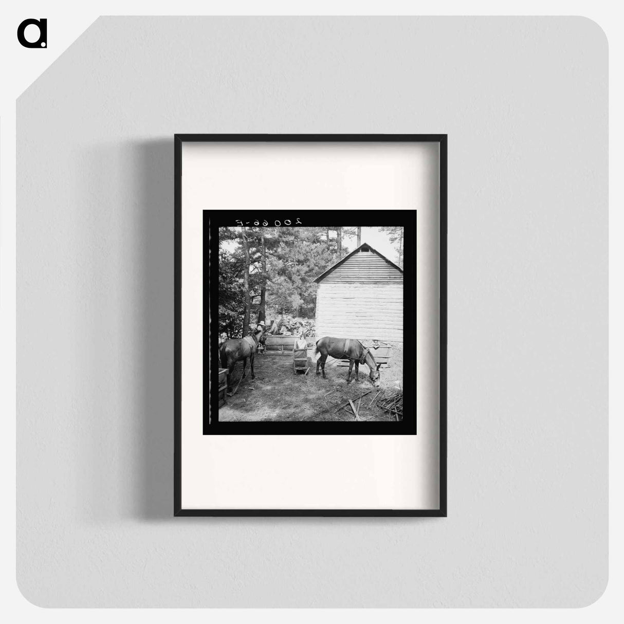 Untitled photo, possibly related to: Young son of tenant farmer gathering sticks for workers to string tobacco on. Granville County, North Carolina - ドロテア ラング Poster.