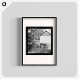 Untitled photo, possibly related to: Young son of tenant farmer gathering sticks for workers to string tobacco on. Granville County, North Carolina - Dorothea Lang Poster.