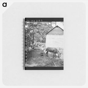 アートメモ帳-Untitled photo, possibly related to: Young son of tenant farmer gathering sticks for workers to string tobacco on. Granville County, North Carolina - ドロテア ラング Memo.
