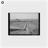 アートポストカード-Owyhee River Conduit
 - ラッセル リー Postcard.