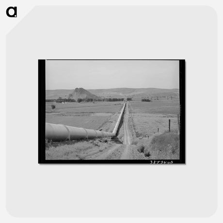 アートポストカード-Owyhee River Conduit
 - ラッセル リー Postcard.