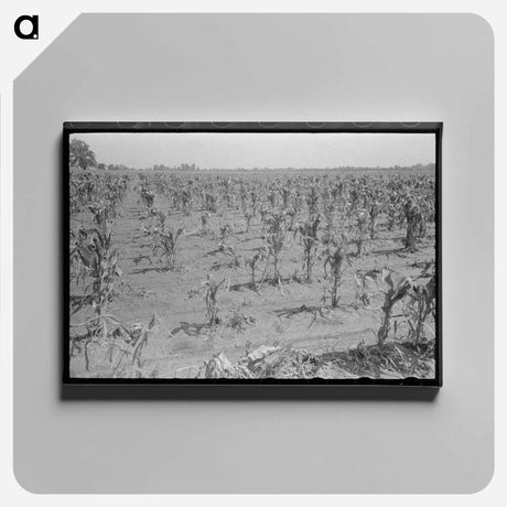 アートパネル-Corn Field After Hailstorm
 - ラッセル リー Canvas.
