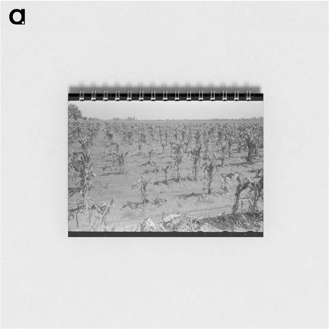 アートメモ帳-Corn Field After Hailstorm
 - ラッセル リー Memo.