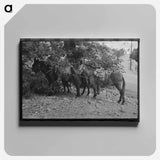 アートパネル-Mule Train, Ouray, Colorado
 - ラッセル リー Canvas.