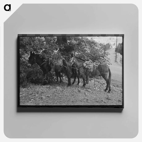 アートパネル-Mule Train, Ouray, Colorado
 - ラッセル リー Canvas.