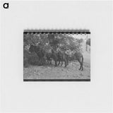 アートメモ帳-Mule Train, Ouray, Colorado
 - ラッセル リー Memo.