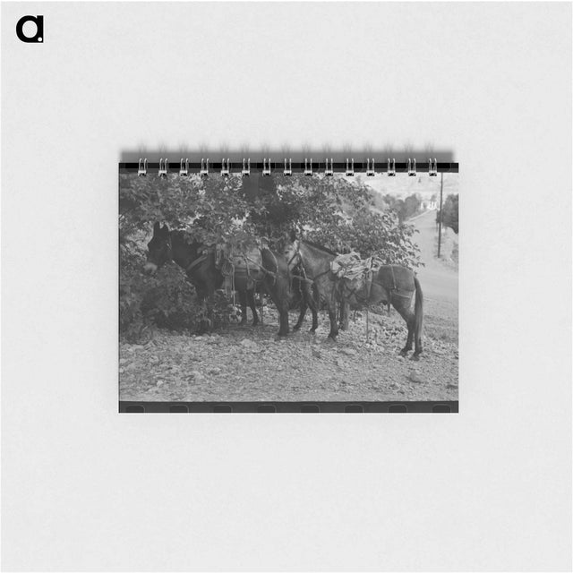 アートメモ帳-Mule Train, Ouray, Colorado
 - ラッセル リー Memo.
