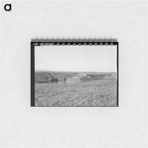 アートメモ帳-Untitled photo - ドロテア ラング Memo.