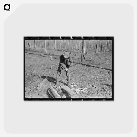 アートポストカード-Farmer Striking a Match
 - ラッセル リー Postcard.