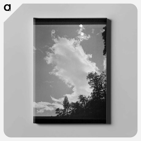 アートパネル-Shasta County Trees and Clouds
 - ラッセル リー Canvas.