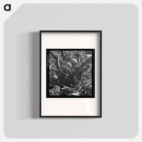 アートポスター-Artichoke - ドロテア ラング Poster.