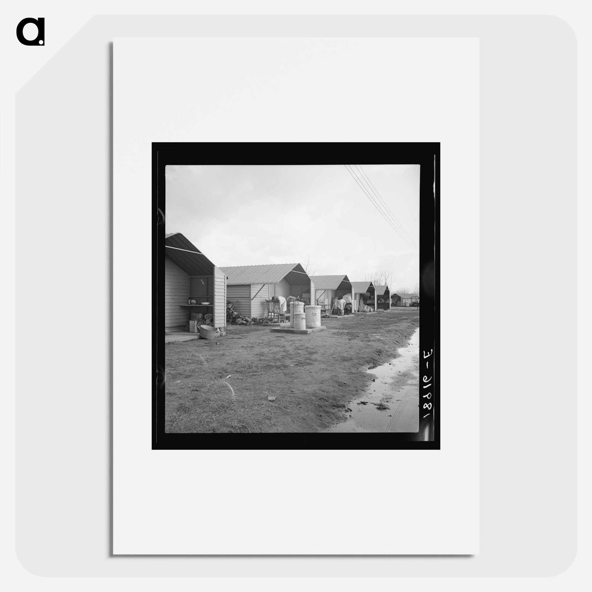 Untitled photo - Dorothea Lange Poster.
