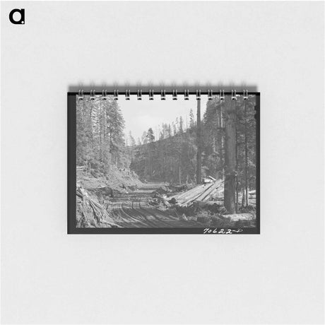 アートメモ帳-Logging Road Through the Woods
 - ラッセル リー Memo.