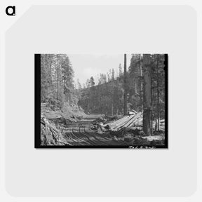 アートポストカード-Logging Road Through the Woods
 - ラッセル リー Postcard.