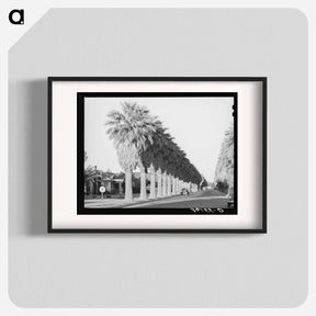 アートポスター-Avenue of Palms
 - ラッセル リー Poster.