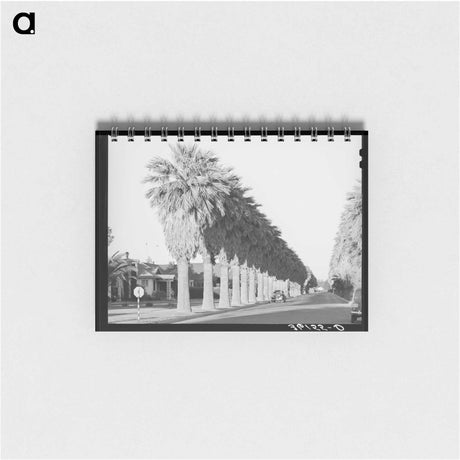 アートメモ帳-Avenue of Palms
 - ラッセル リー Memo.