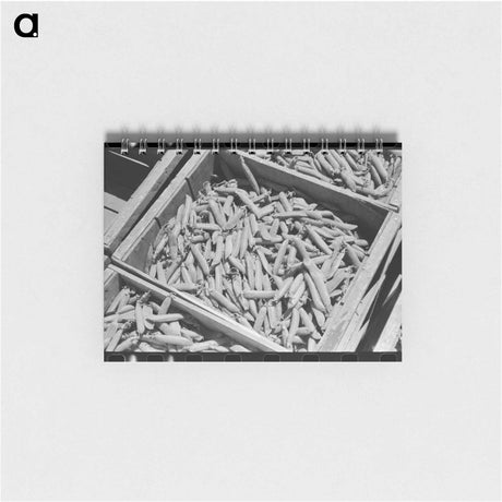 アートメモ帳-Green Peas in Crate
 - ラッセル リー Memo.