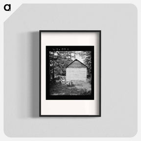 アートポスター-Untitled photo, possibly related to: Young son of tenant farmer gathering sticks for workers to string tobacco on. Granville County, North Carolina - ドロテア ラング Poster.