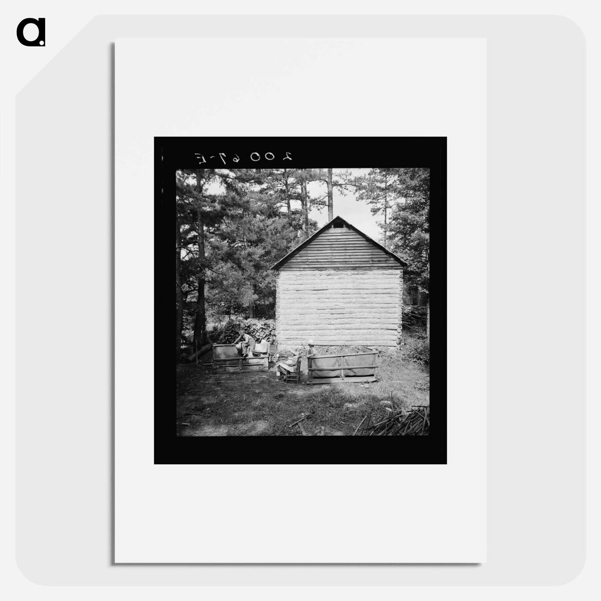 Untitled photo, possibly related to: Young son of tenant farmer gathering sticks for workers to string tobacco on. Granville County, North Carolina - ドロテア ラング Poster.