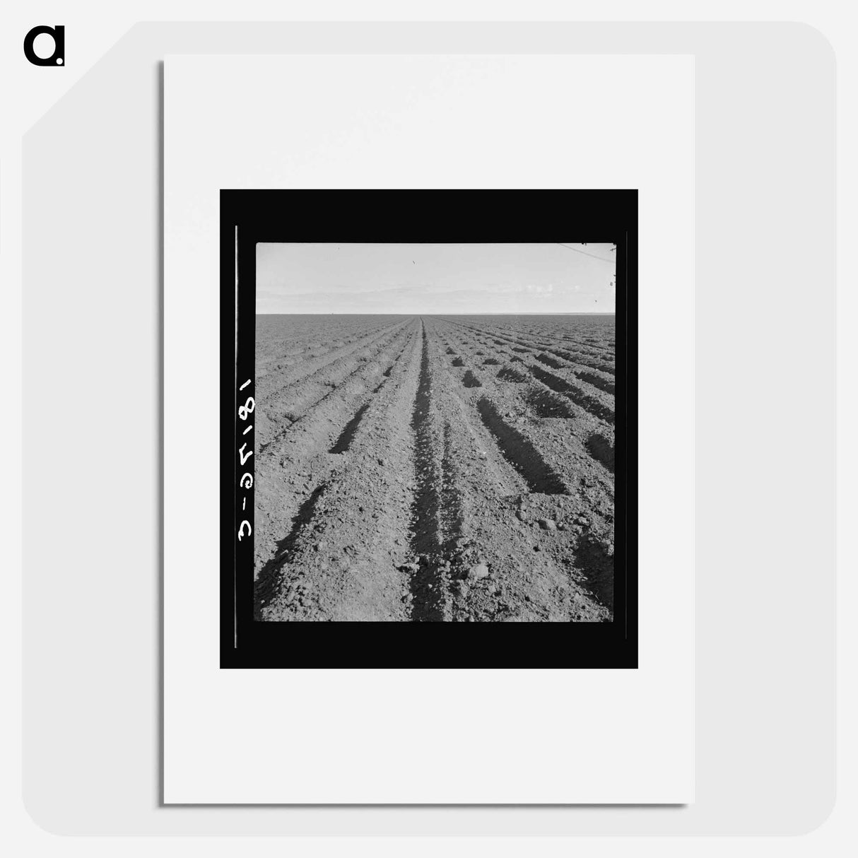 Basin listing on the great plains of the Texas Panhandle - Dorothea Lange Poster.