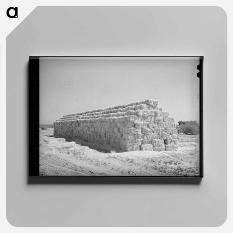 アートパネル-Casa Grande Valley Farms
 - ラッセル リー Canvas.