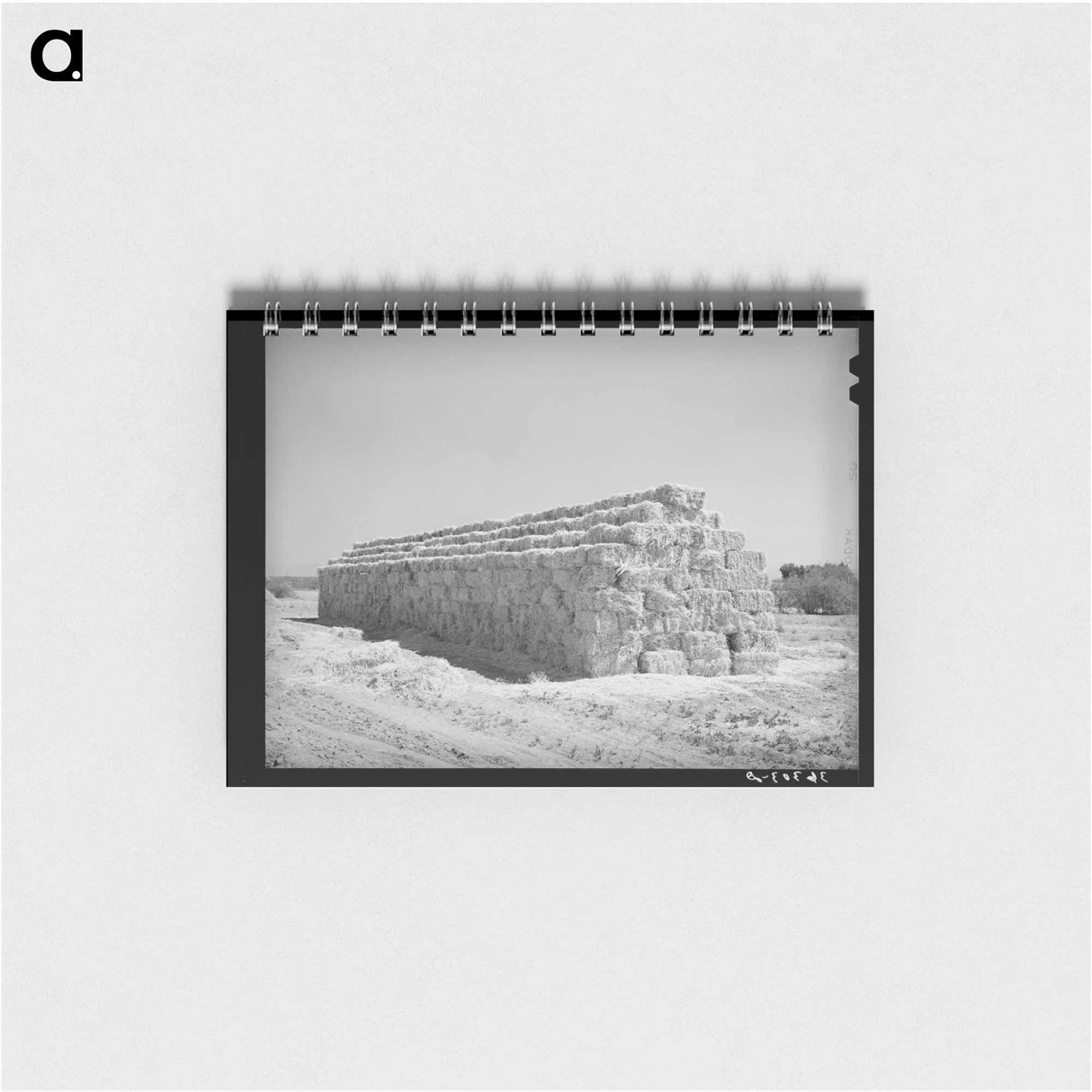 アートメモ帳-Casa Grande Valley Farms
 - ラッセル リー Memo.