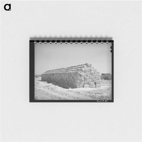 アートメモ帳-Casa Grande Valley Farms
 - ラッセル リー Memo.