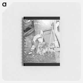 アートメモ帳-Dirty clothes and flies. American River camp, near Sacramento, California. - ドロテア ラング Memo.