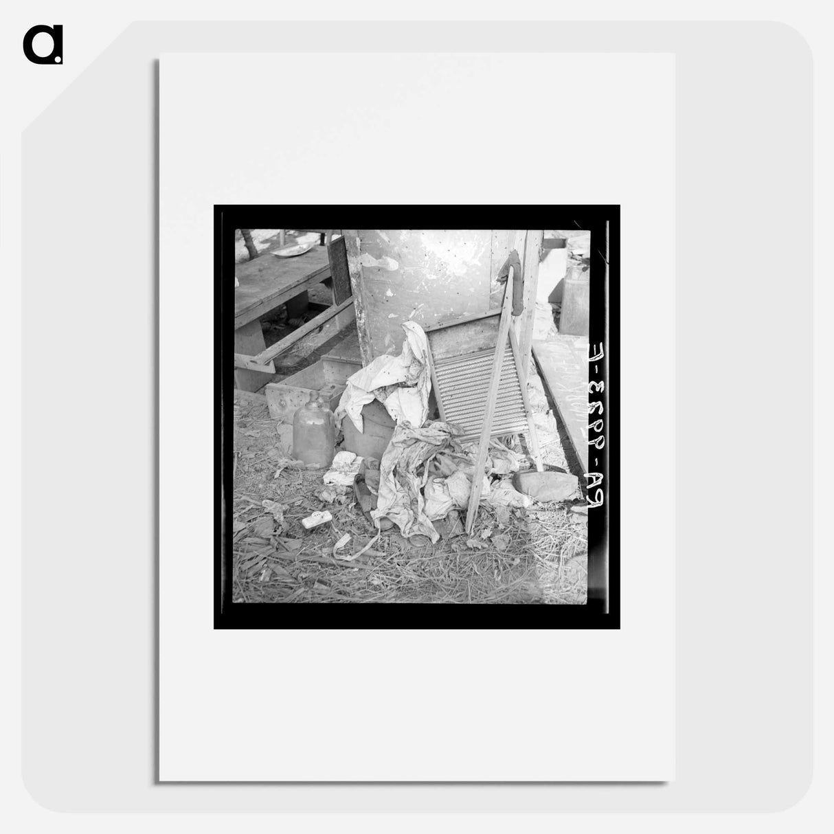 Dirty clothes and flies. American River camp, near Sacramento, California. - Dorothea Lange Poster.