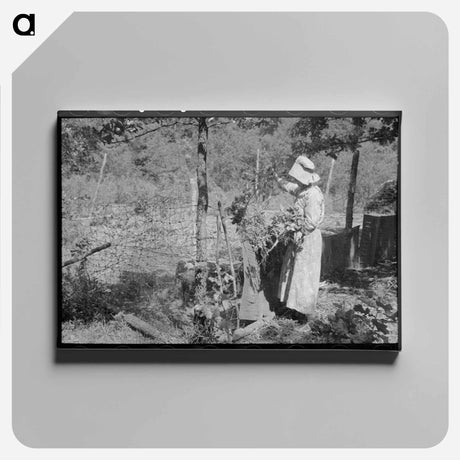 アートパネル-Tenant Farmer Feeding Hogs
 - ラッセル リー Canvas.