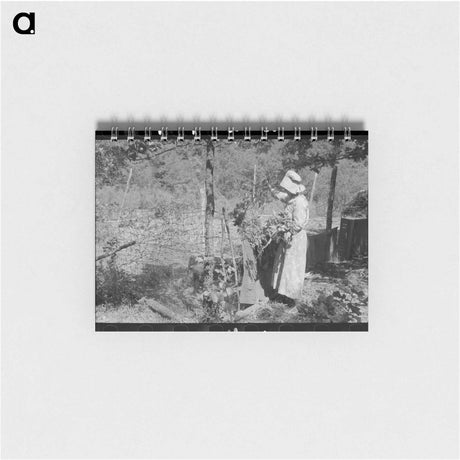 アートメモ帳-Tenant Farmer Feeding Hogs
 - ラッセル リー Memo.