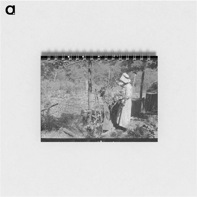 アートメモ帳-Tenant Farmer Feeding Hogs
 - ラッセル リー Memo.