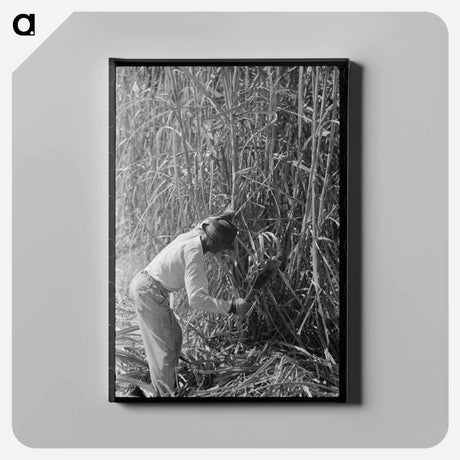 アートパネル-Sugarcane Cutter and Waterboy
 - ラッセル リー Canvas.