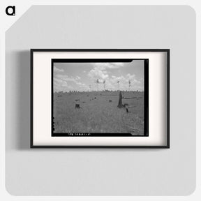 アートポスター-Land cut over by lumber company and not replanted - ドロテア ラング Poster.