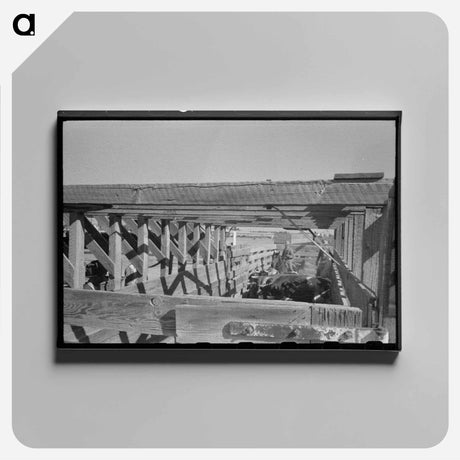 アートパネル-Cattle Corral
 - ラッセル リー Canvas.