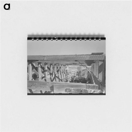 アートメモ帳-Cattle Corral
 - ラッセル リー Memo.