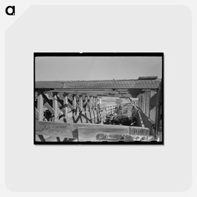 アートポストカード-Cattle Corral
 - ラッセル リー Postcard.