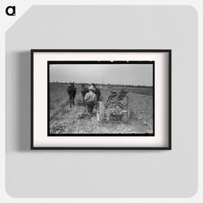 アートポスター-Raking Soybean Hay, Lake Dick Project, Arkansas
 - ラッセル リー Poster.
