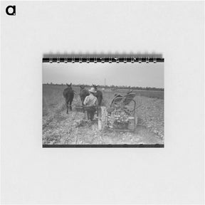アートメモ帳-Raking Soybean Hay, Lake Dick Project, Arkansas
 - ラッセル リー Memo.