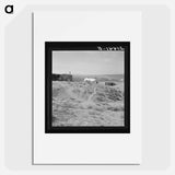 Untitled photo, possibly related to: The Dazey farm and home. Homedale district, Malheur County, Oregon - Dorothea Lange Poster.