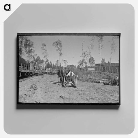 アートパネル-Camp Near Effie, Minnesota
 - ラッセル リー Canvas.