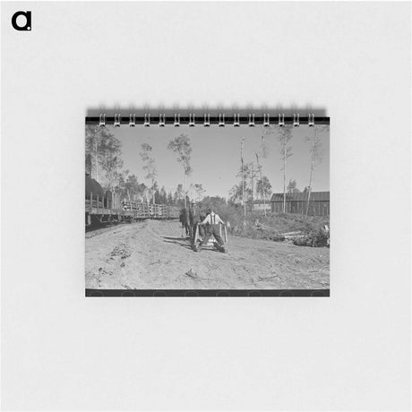 アートメモ帳-Camp Near Effie, Minnesota
 - ラッセル リー Memo.